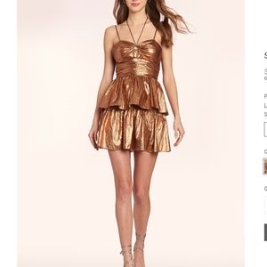 Amanda Uprichard Shawnett Dress